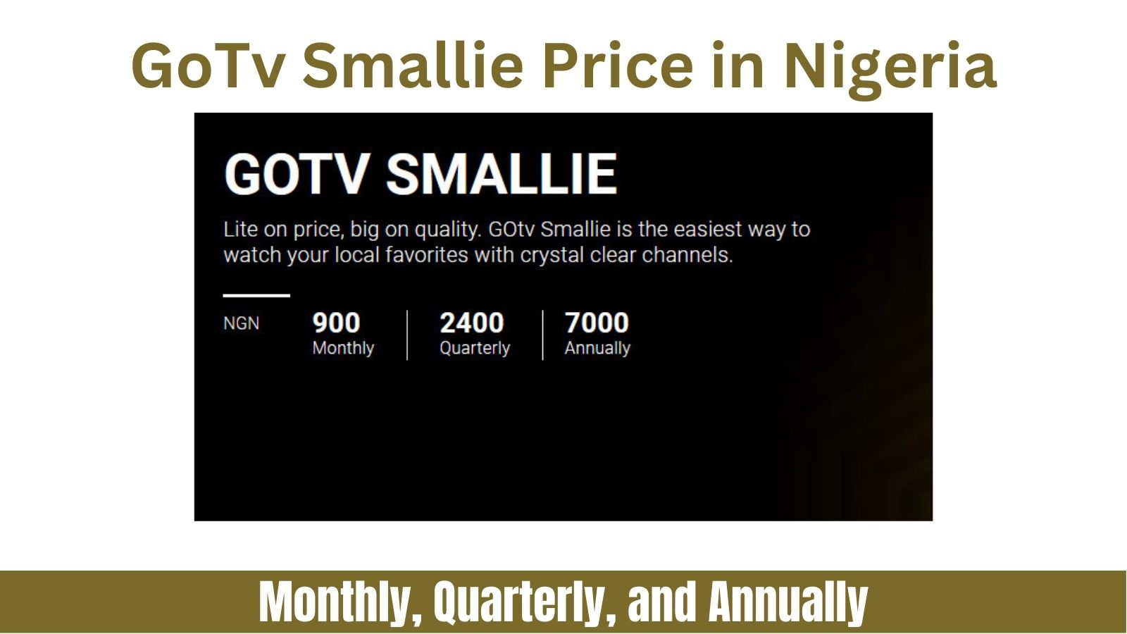 GoTv Smallie Price in Nigeria